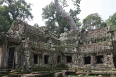 Ta-Prohm-1030x680