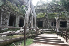 Ta-Prohm-2-1030x685