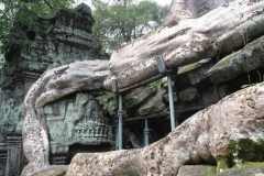 Ta-Prohm-3-1030x682