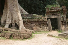 Ta-Prohm-5-1030x682
